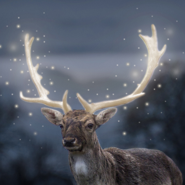 Photoshop Glow Effect